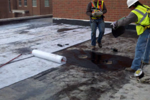 2012-01-31_10-41-26_0